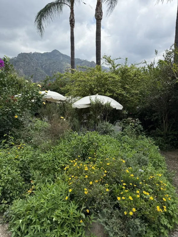 El jardín en Tepoztlán donde nos conocimos